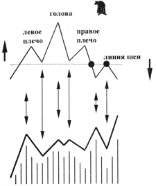 Схематичное изображение фигуры: ГОЛОВА-ПЛЕЧИ