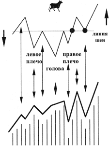 Схематичное изображение фигуры: перевернутая ГОЛОВА-ПЛЕЧИ